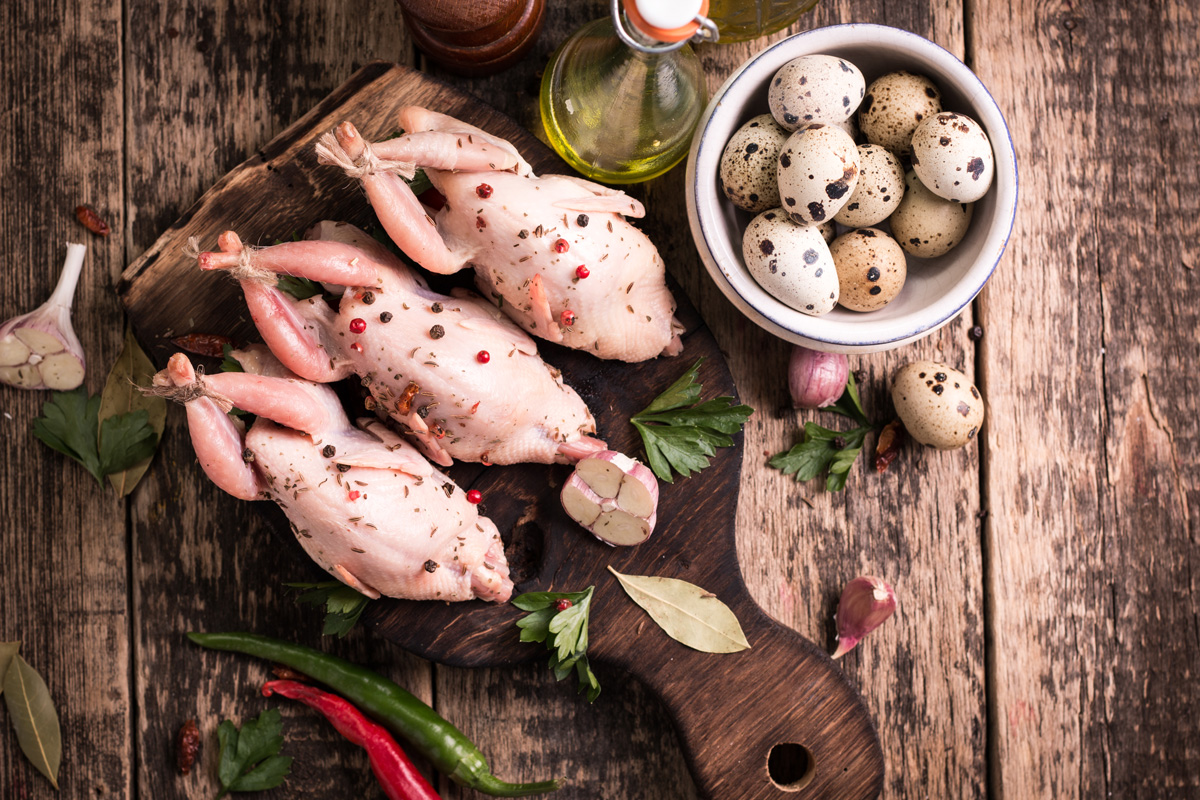 Fleischsorte – Wachtel