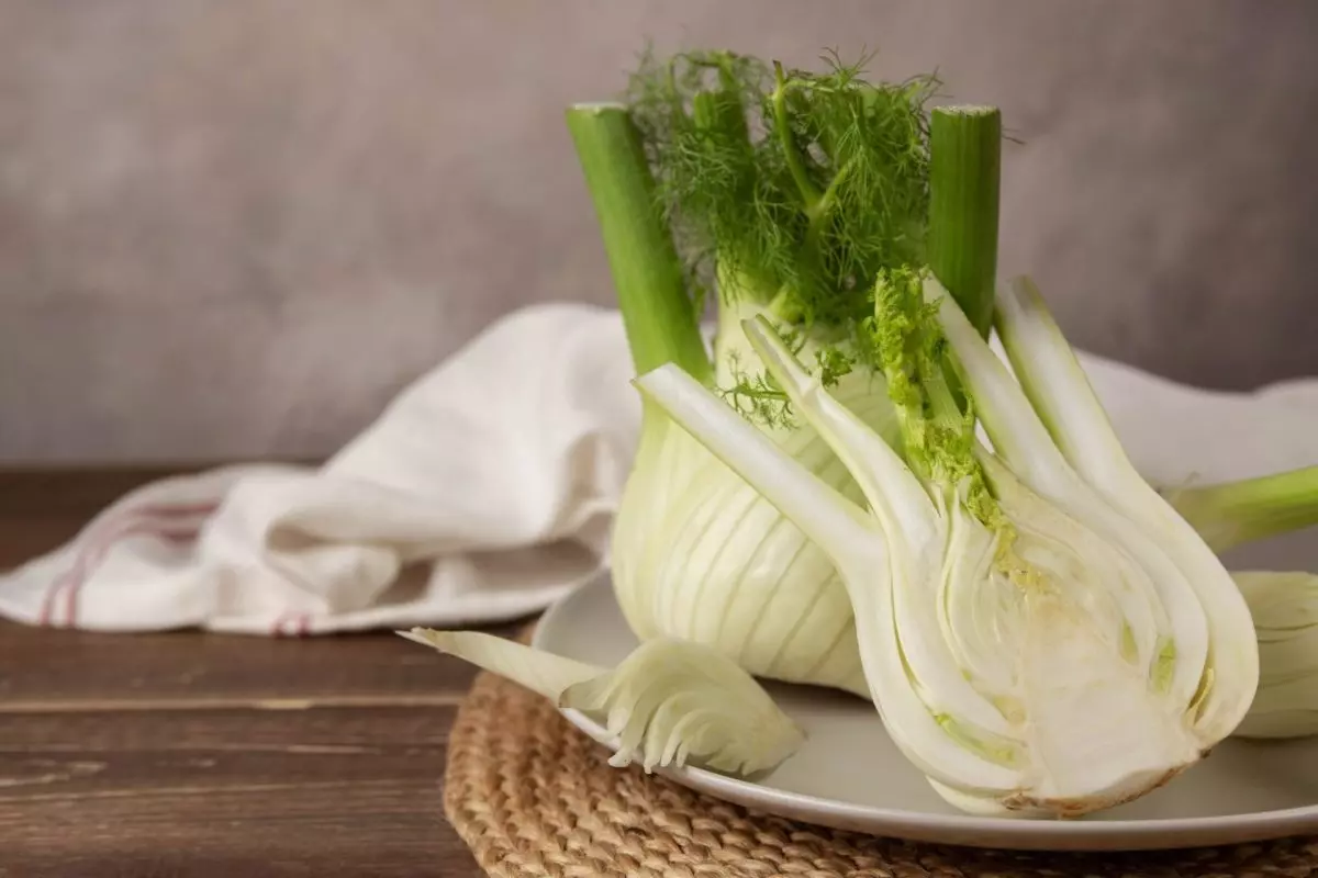 Fenchel ist mit Sellerie verwandt, aber in unserer Küche noch immer ein Fremdkörper.
