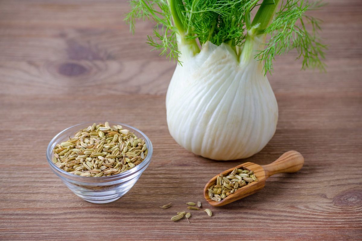 Fenchel ist mit Sellerie verwandt, aber in unserer Küche noch immer ein Fremdkörper.