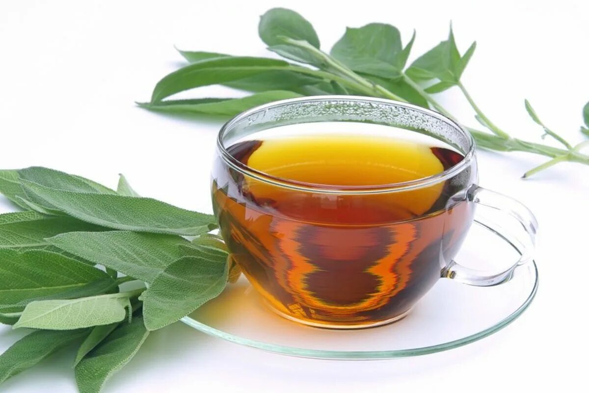 Ich brühe die Blätter auf und trinke den Tee gerne. Dieser Aufguss hilft, den Blutzuckerspiegel zu kontrollieren.