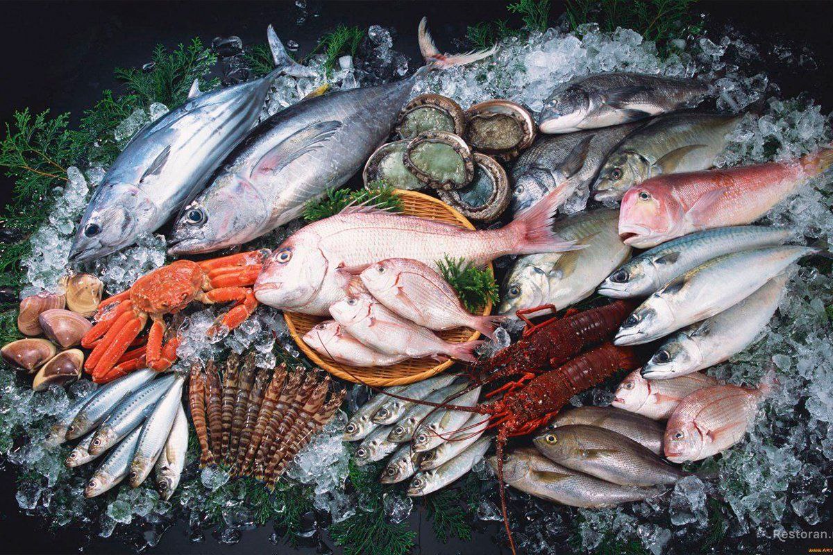 Dieser Fisch ist besser als Kabeljau. Er hat zartes Fleisch und einen feinen Geschmack. Zitrone, Salz und Thymian reichen völlig aus.